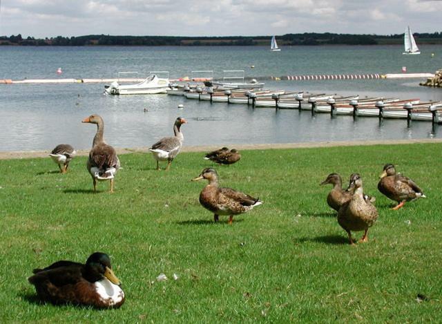 Grafham Water Lodge Eksteriør billede